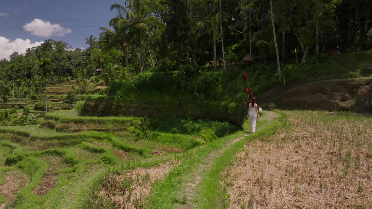 青翠的梯田上，年轻女子的脚步在小径上走着视频素材