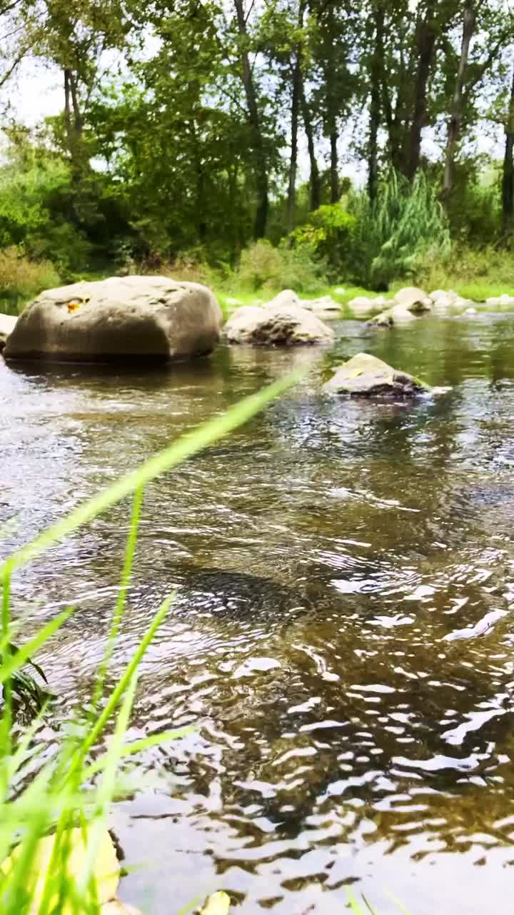 一条河流在加泰罗尼亚赫罗纳的岩石和森林植被之间缓慢流动的低角度镜头。垂直的画面。视频素材