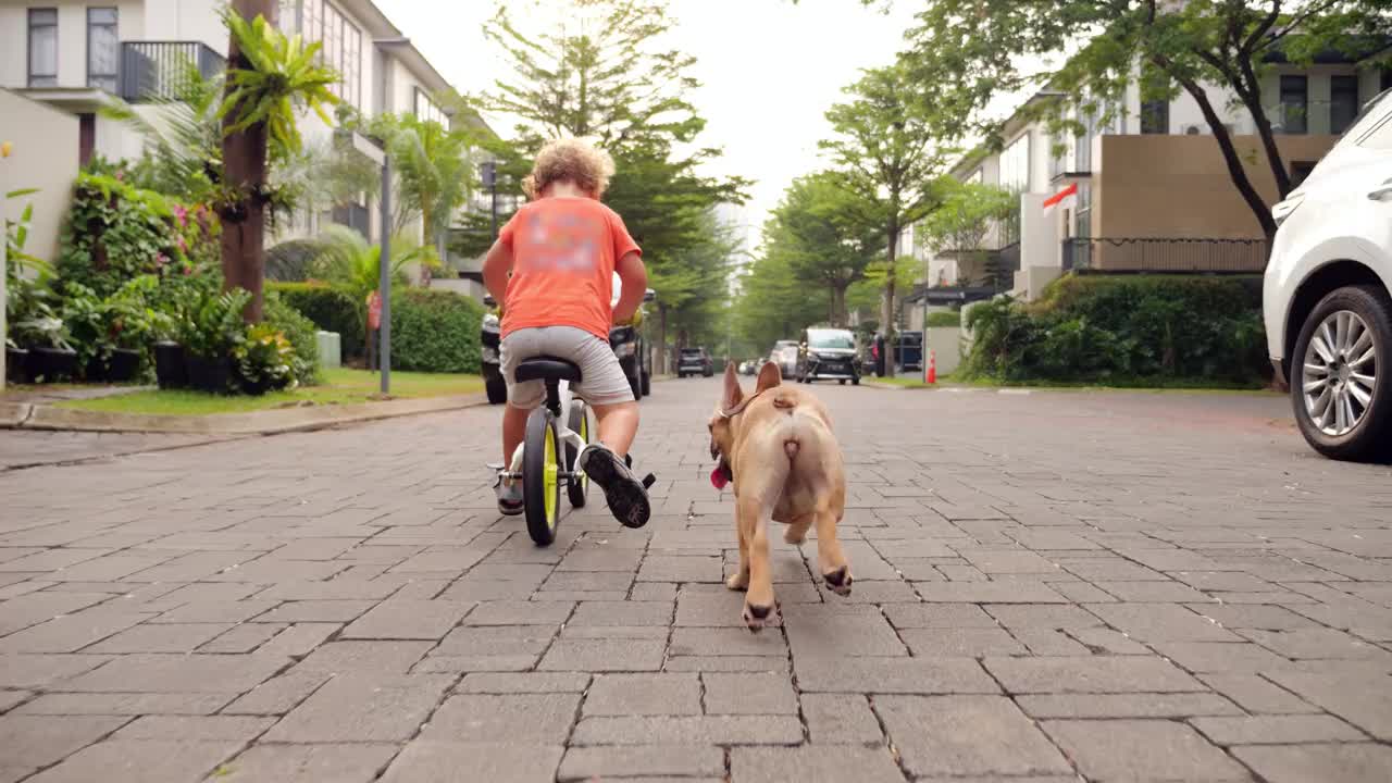 顽皮的二人组，骑着平衡自行车的小孩和小狗，在安静的郊区街道上奔跑视频素材