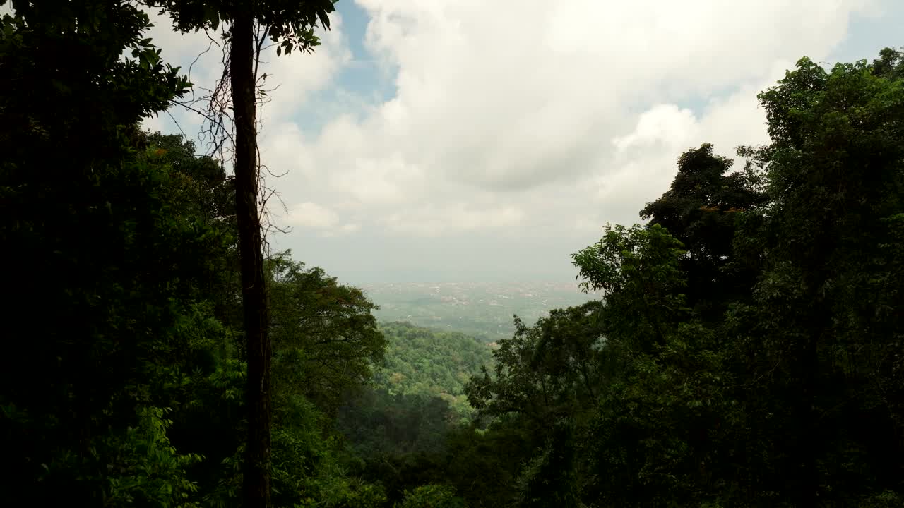 在雾蒙蒙的印尼巴厘岛，无人机飞过茂密的山林，背景是山谷。空中向前视频素材