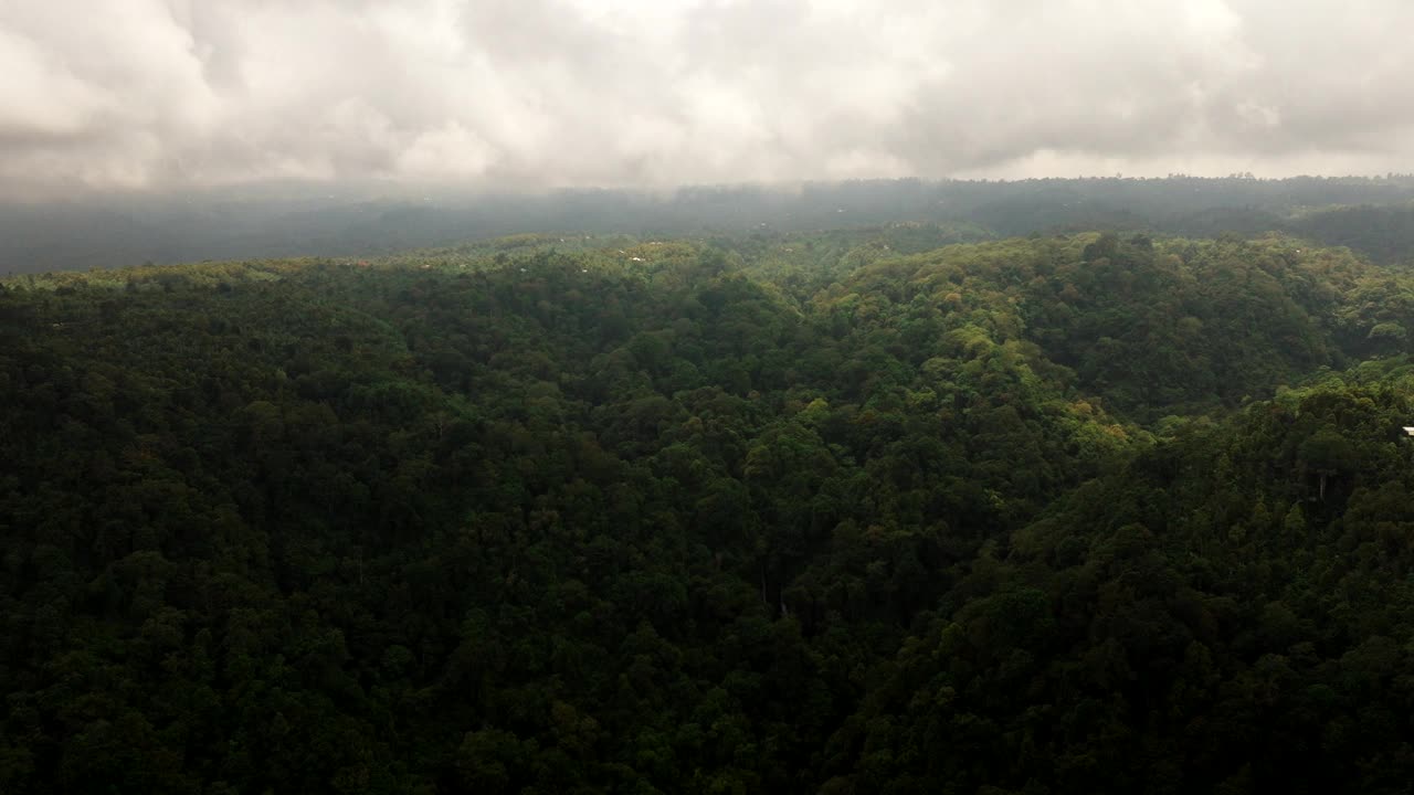 低云笼罩着密不透风的丛林，山景，印度尼西亚巴厘岛。空中前降，有复制空间视频素材