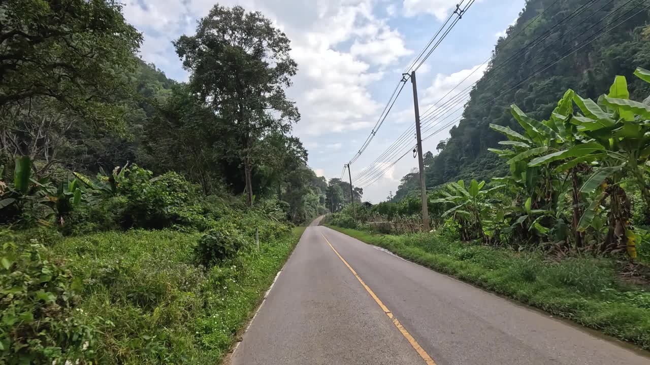 风景优美的公路旅行穿过郁郁葱葱的绿色植物视频素材