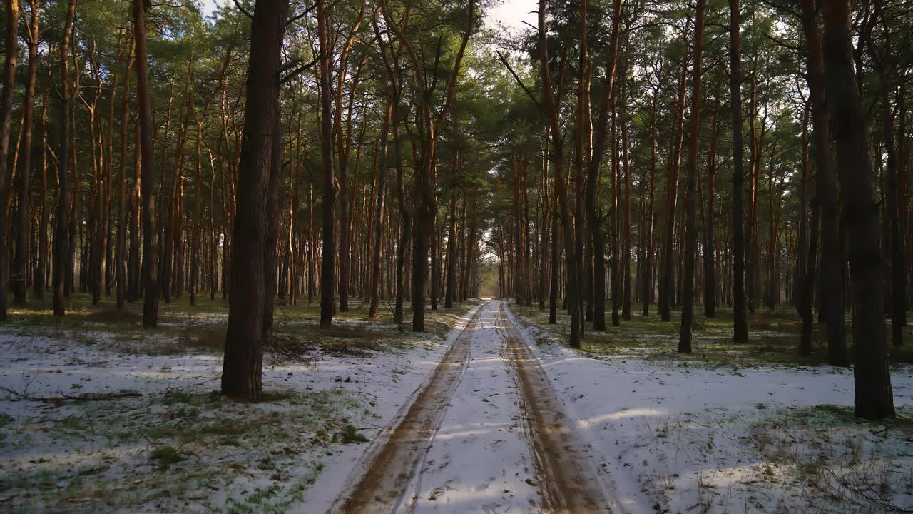 相机在白雪覆盖的神秘小径上掠过，两旁是松树林，夕阳的余辉映照在镜头上。迷人的氛围，怪异和令人不寒而栗的气氛视频素材