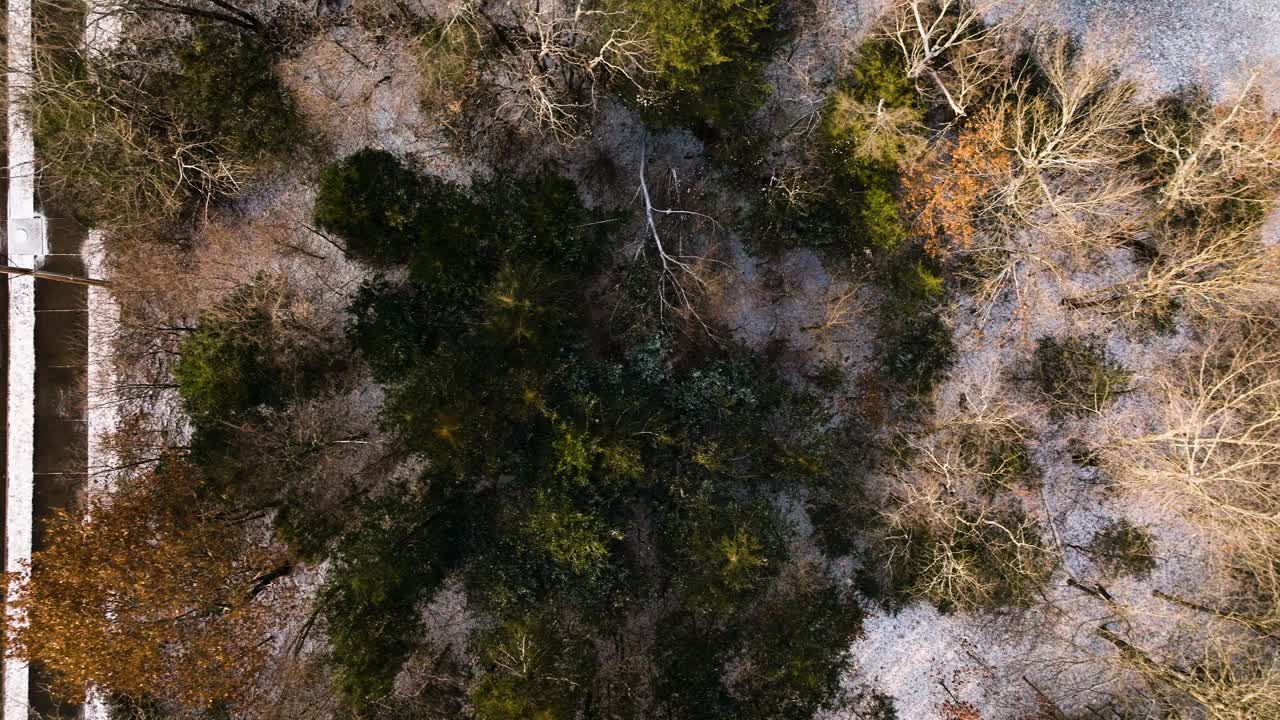 在冬季的光线下，航拍的美国红杉山鸟瞰图，有树木和道路视频素材