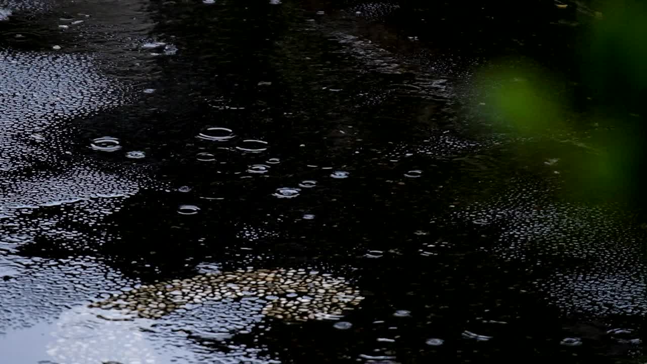 雨滴以慢动作接近视频下载