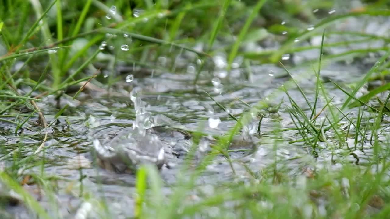 雨滴以慢动作接近视频下载