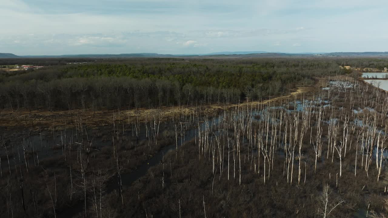 点移野生动物区，黑井，ar，与光秃秃的树木和湿地，鸟瞰图视频素材