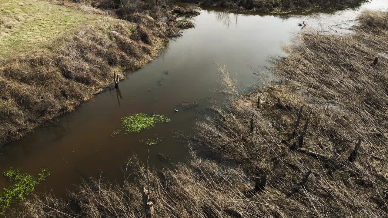 点移除野生动物区，布莱克韦尔，阿肯色州，干草和静止的水，鸟瞰图视频素材