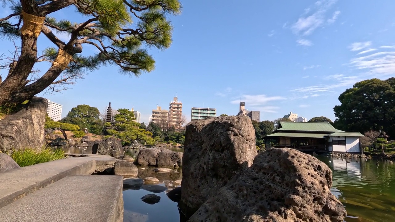 宁静的日本花园全景图视频素材