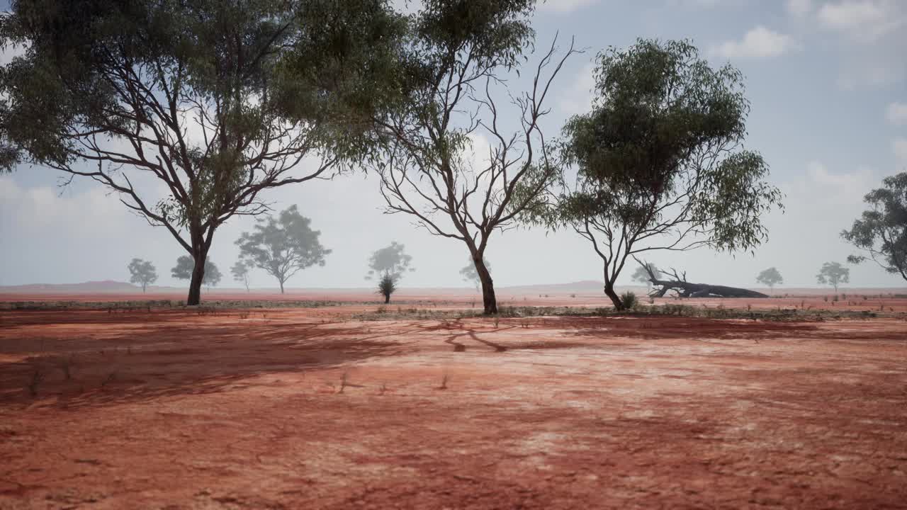 远处有红土和树木的风景视频素材