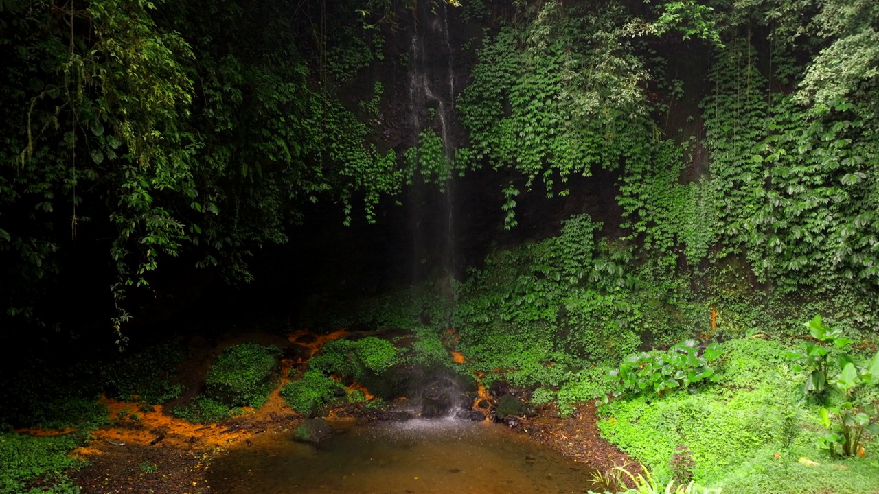 该地区以其生物多样性、各种植物和野生动物而闻名。空中视频素材