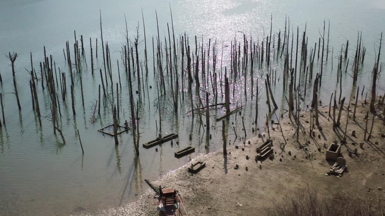 气候变化干旱景象枯树视频素材