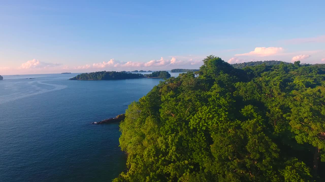 在巴拿马帕里达斯岛(Isla Paridas)的一个半岛上，在树木茂密的森林上空低空飞行，可以看到一个平静的水面海湾，没有船只停泊视频素材