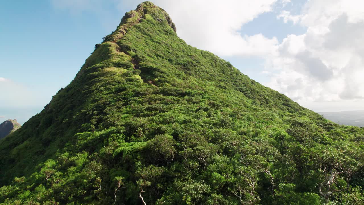 在阳光明媚的天空下，郁郁葱葱的绿色植物覆盖了Le Pouce山，鸟瞰视频素材