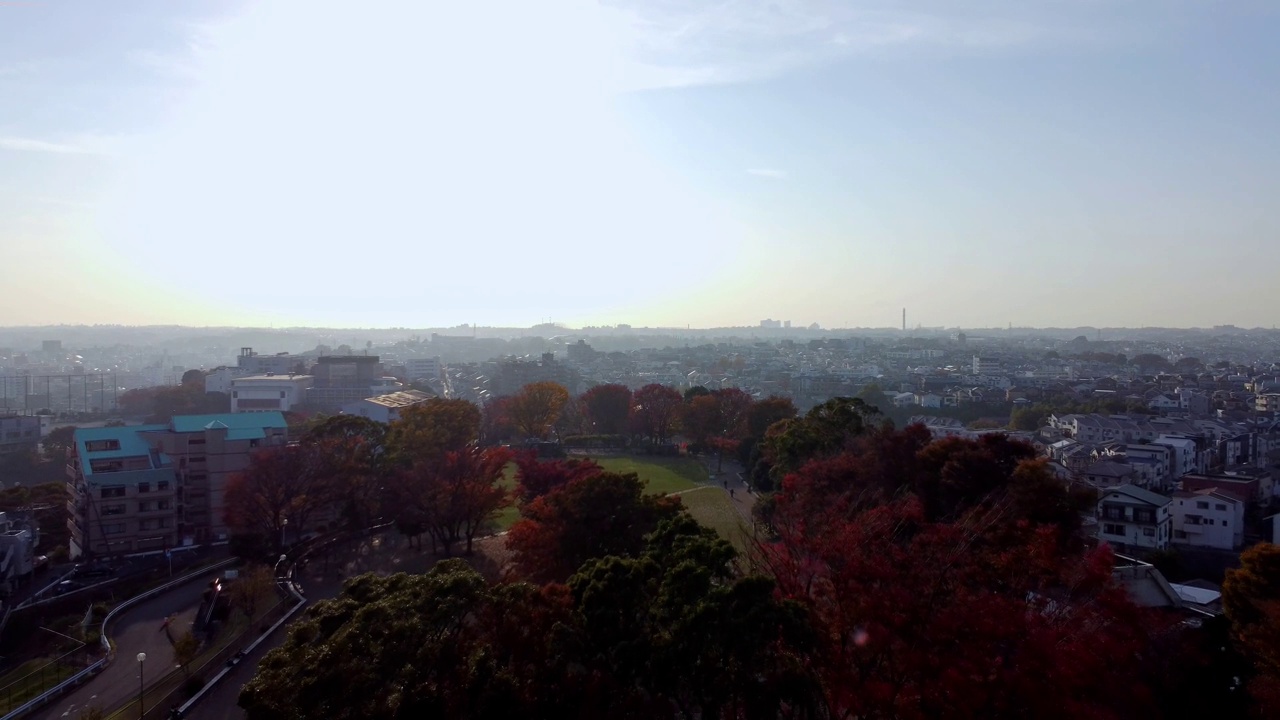 公园里的秋天树木与城市景观，温暖的阳光，鸟瞰视频素材