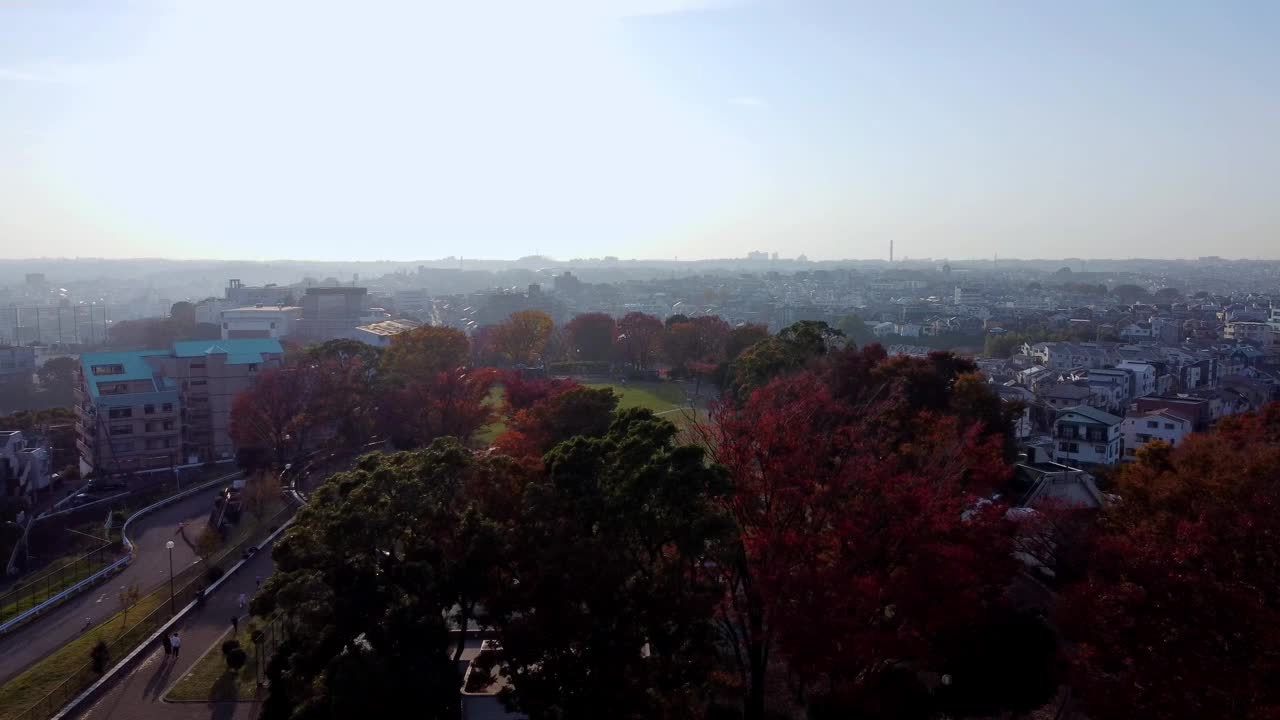 一个充满活力的城市公园，日落时的秋叶，背景是天际线，鸟瞰图视频素材