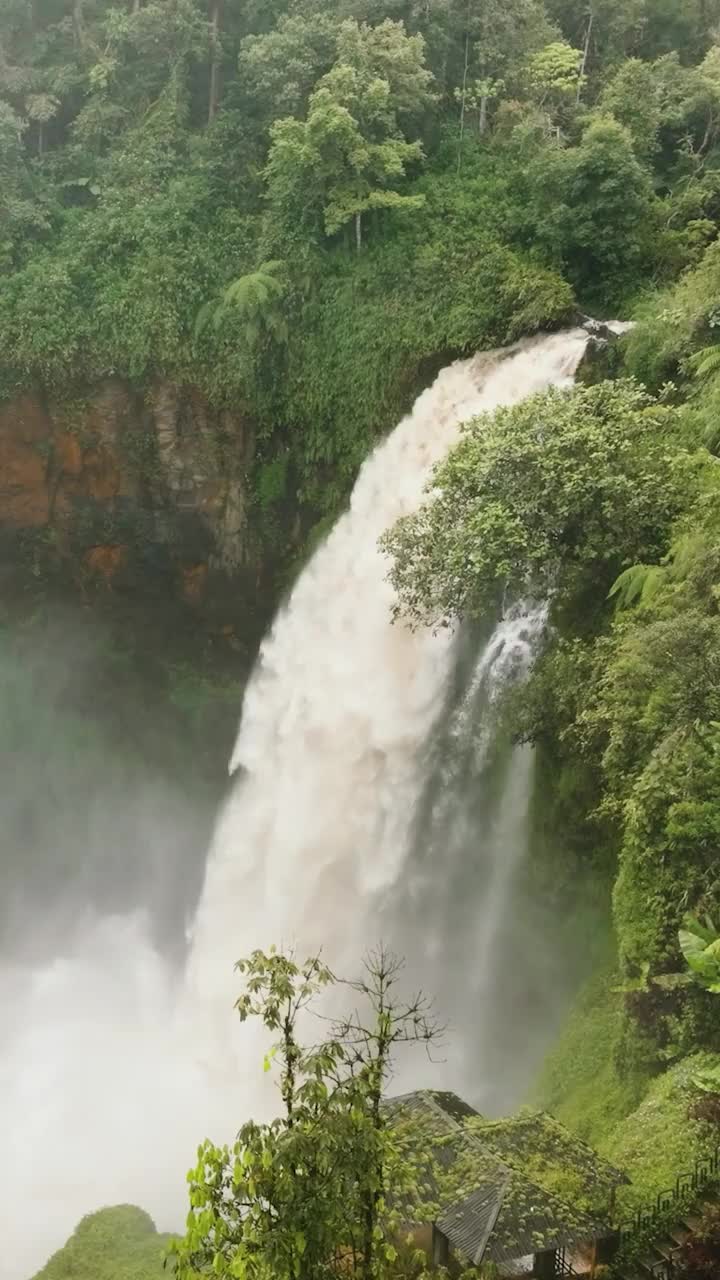 雨林中的瀑布。印度尼西亚苏门答腊。视频素材