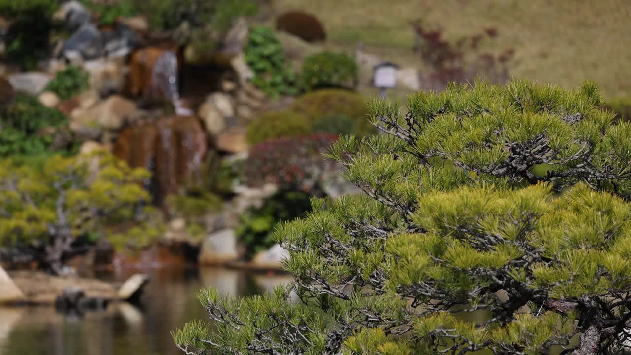 宁静的日本花园全景图视频素材