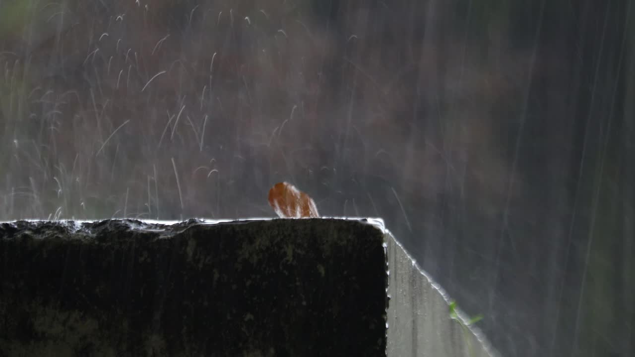 雨视频素材