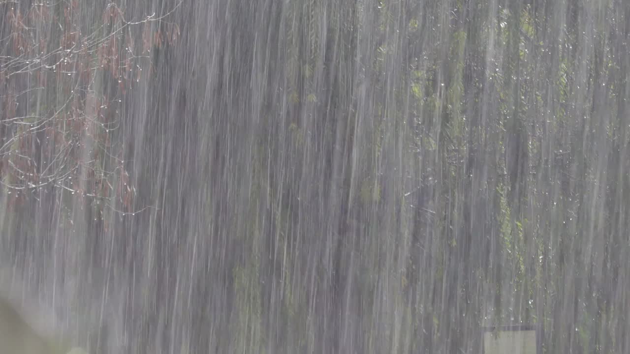 雨视频素材