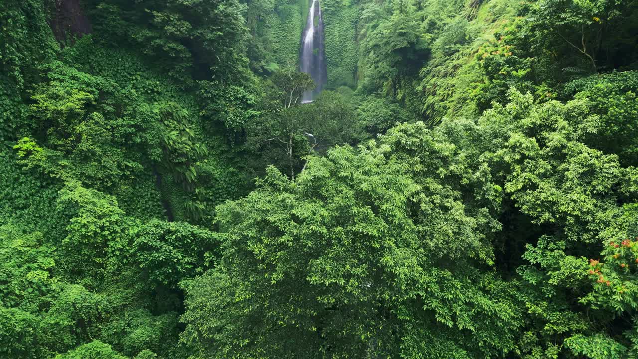 隐藏在热带雨林丛林中的瀑布。在覆盖着热带植物和雨林的峡谷中飞行，有河流和瀑布。航拍，4K视频素材