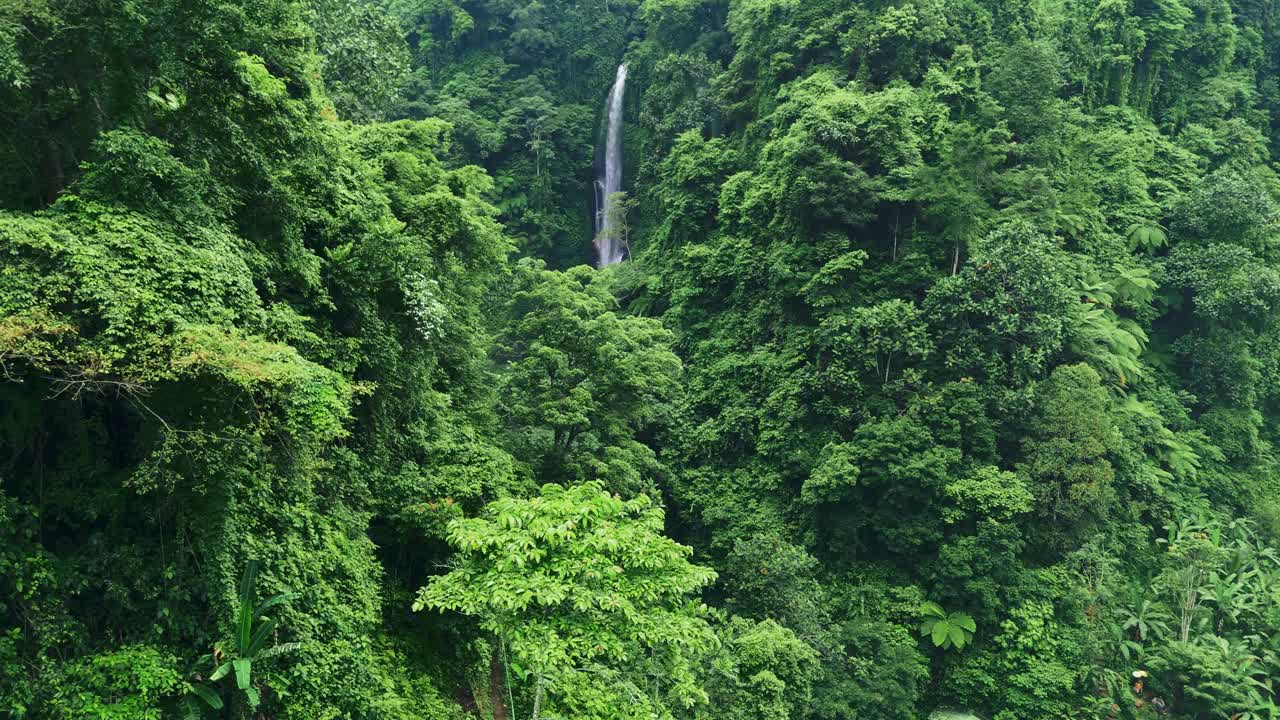 壮观的瀑布隐藏在雨林中。印尼巴厘岛Sekumpul瀑布的航拍照片。亚洲自然视频素材