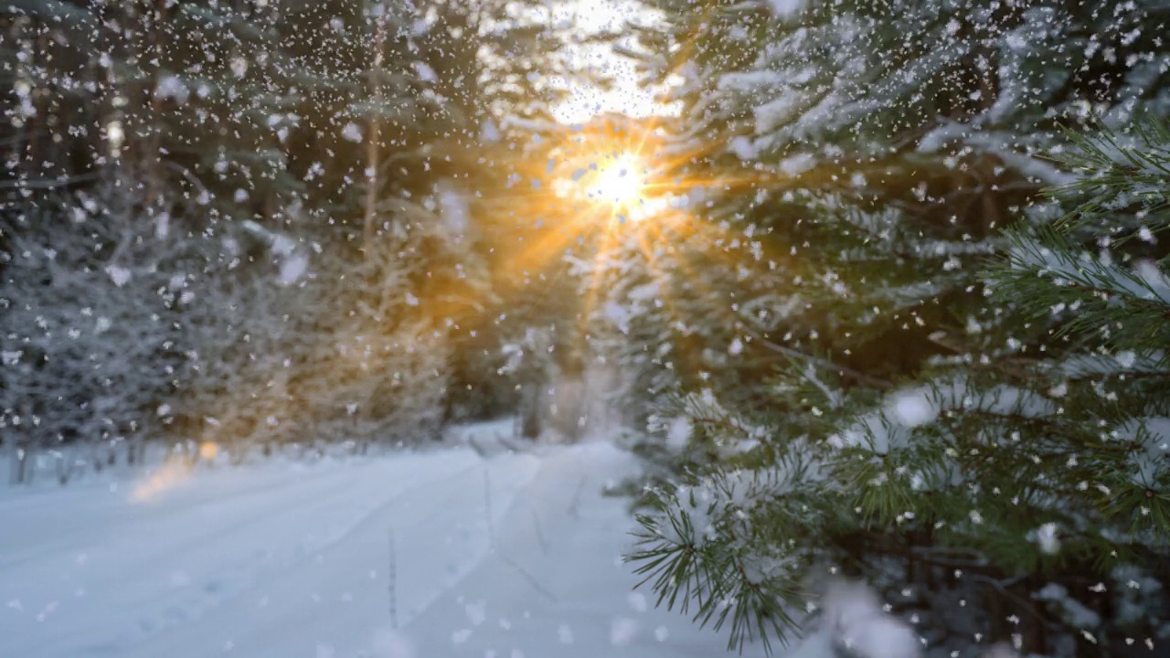 冬季景观与美丽的降雪，电影，冬季太阳，视频循环视频素材