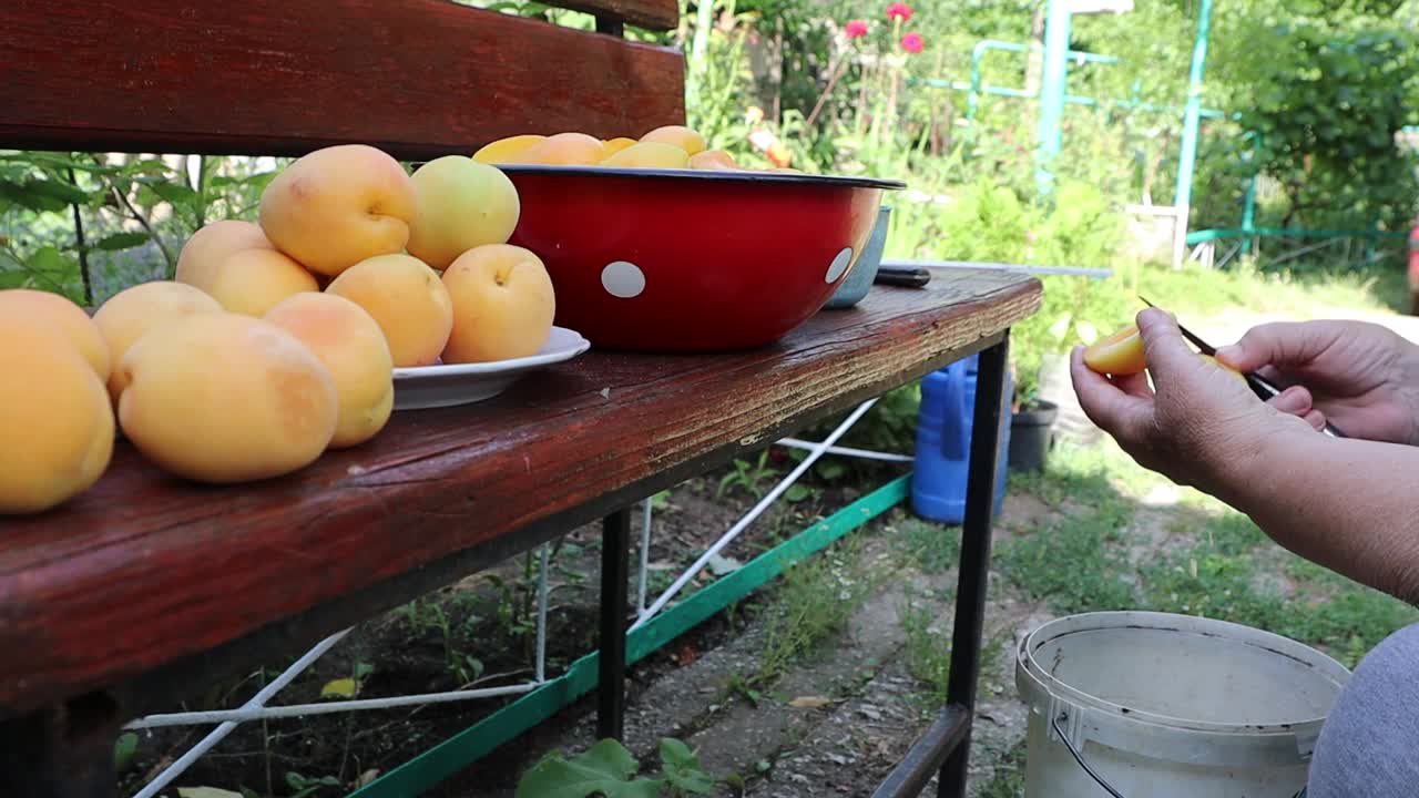 草地旁的木凳上，有人在剥杏子视频下载