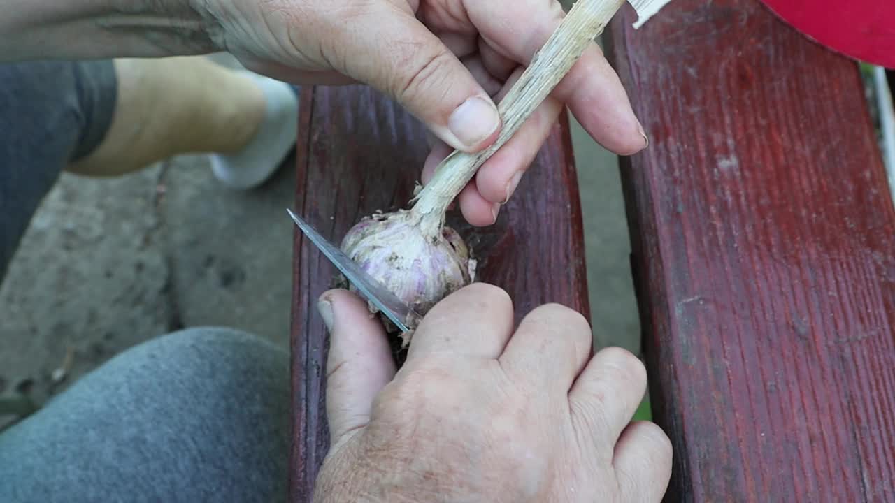 一个人在草地上的硬木野餐桌上用牙刷剥大蒜视频下载