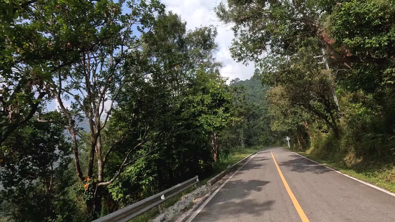 风景优美的驾车穿过茂密的森林视频素材