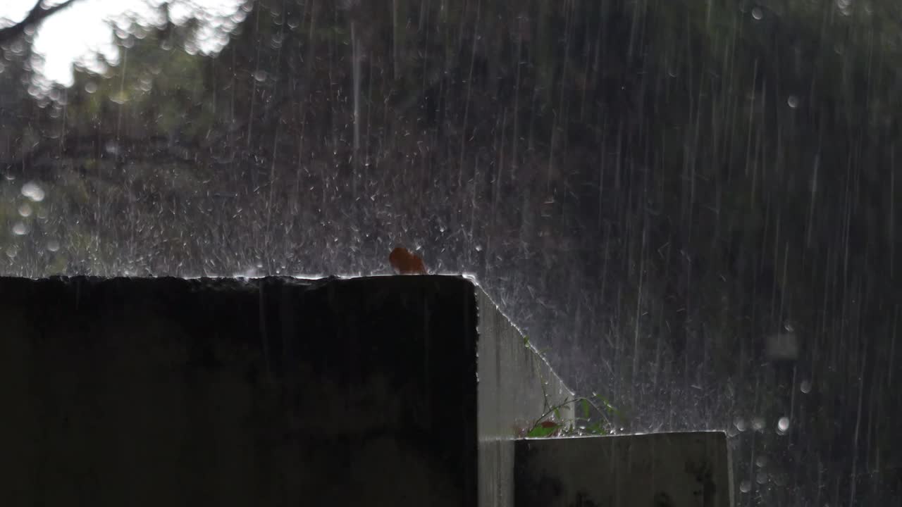 雨视频素材