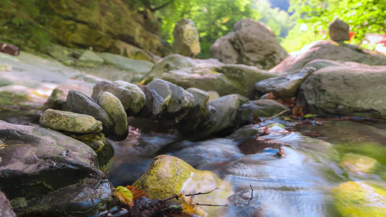 小溪在茂密的森林里流过岩石小溪，阳光斑驳，延时拍摄视频素材