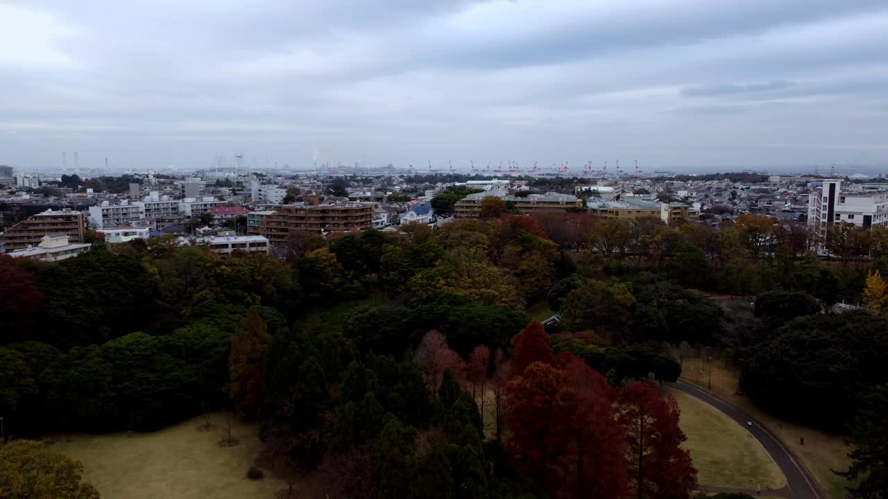 在阴天鸟瞰图，城市的天际线与秋天颜色的树木视频素材