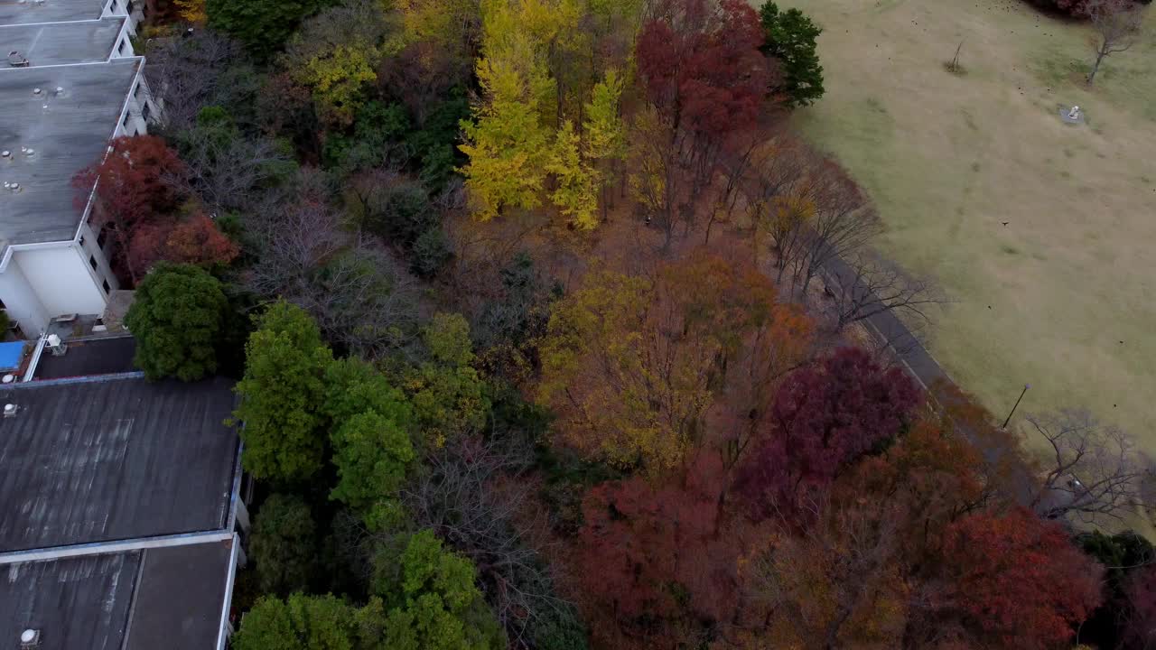 五彩缤纷的秋树旁有一座建筑，阴天，鸟瞰视频素材