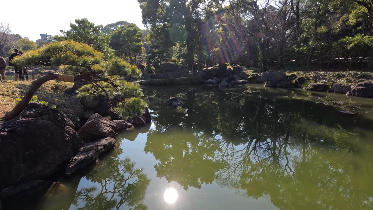 穿越时光的宁静池塘视频素材