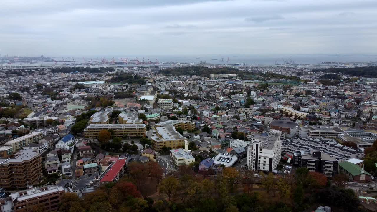 密集的城市景观，建筑，树木，多云的天空，日光，鸟瞰图视频素材