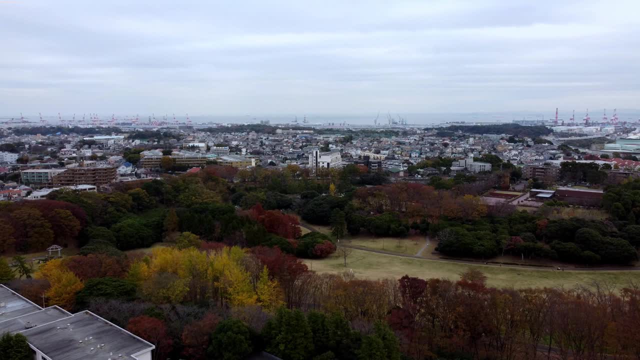 秋天，城市公园上空阴天，树木变色，远处的城市天际线，鸟瞰图视频素材