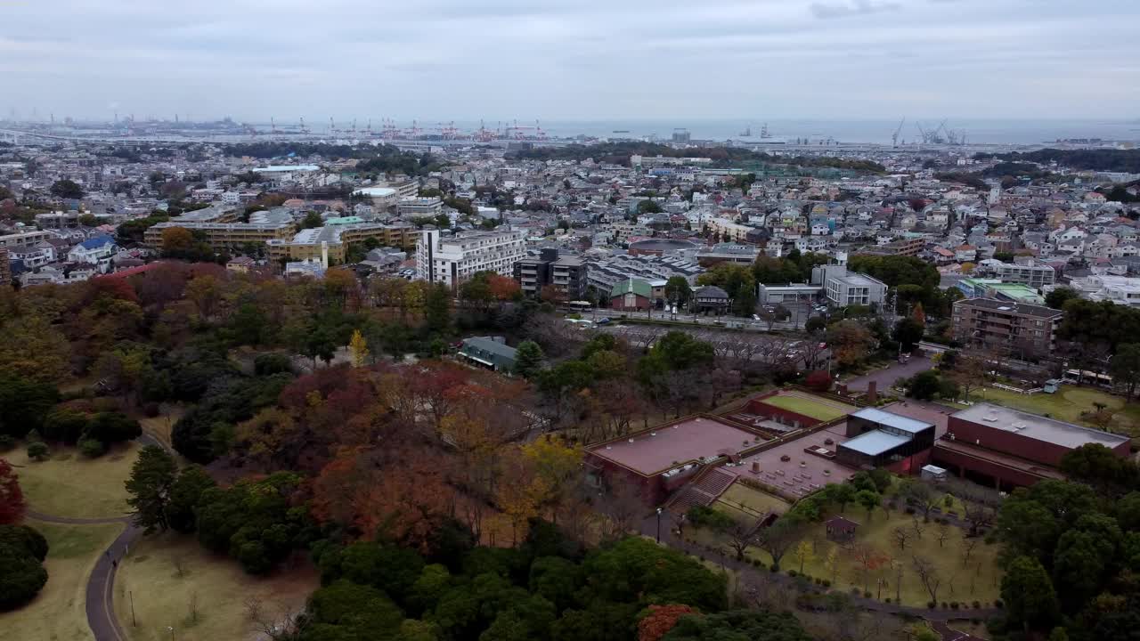 一个充满活力的城市景观与秋天的树叶和城市建筑，鸟瞰图视频素材