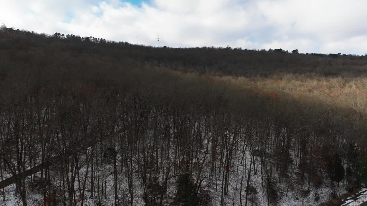 冬日白雪覆盖大地，光秃秃的森林，空中拍摄，白天，阿肯色州视频素材