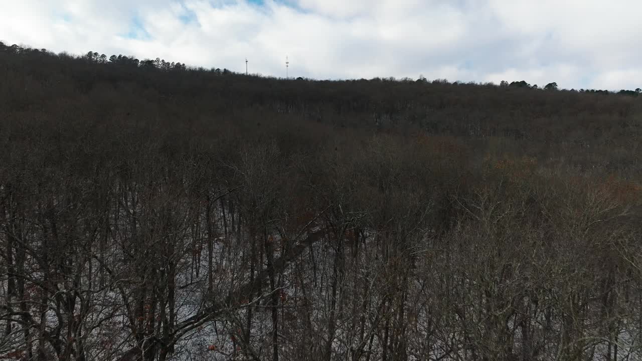 无人机在冬天飞在光秃秃的枯树上，雪地上，向前，空中视频素材