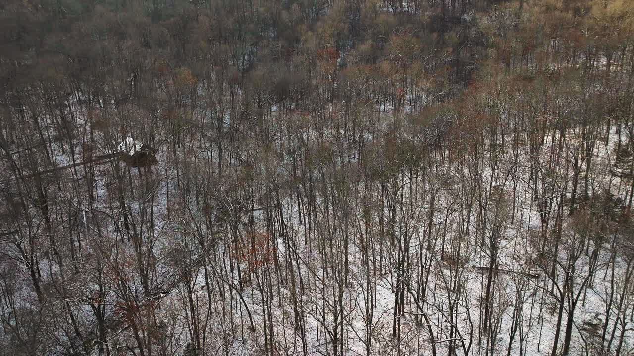 空中无人机拍摄的冬季森林景观，在Mount Sequoyah，阿肯色州视频素材