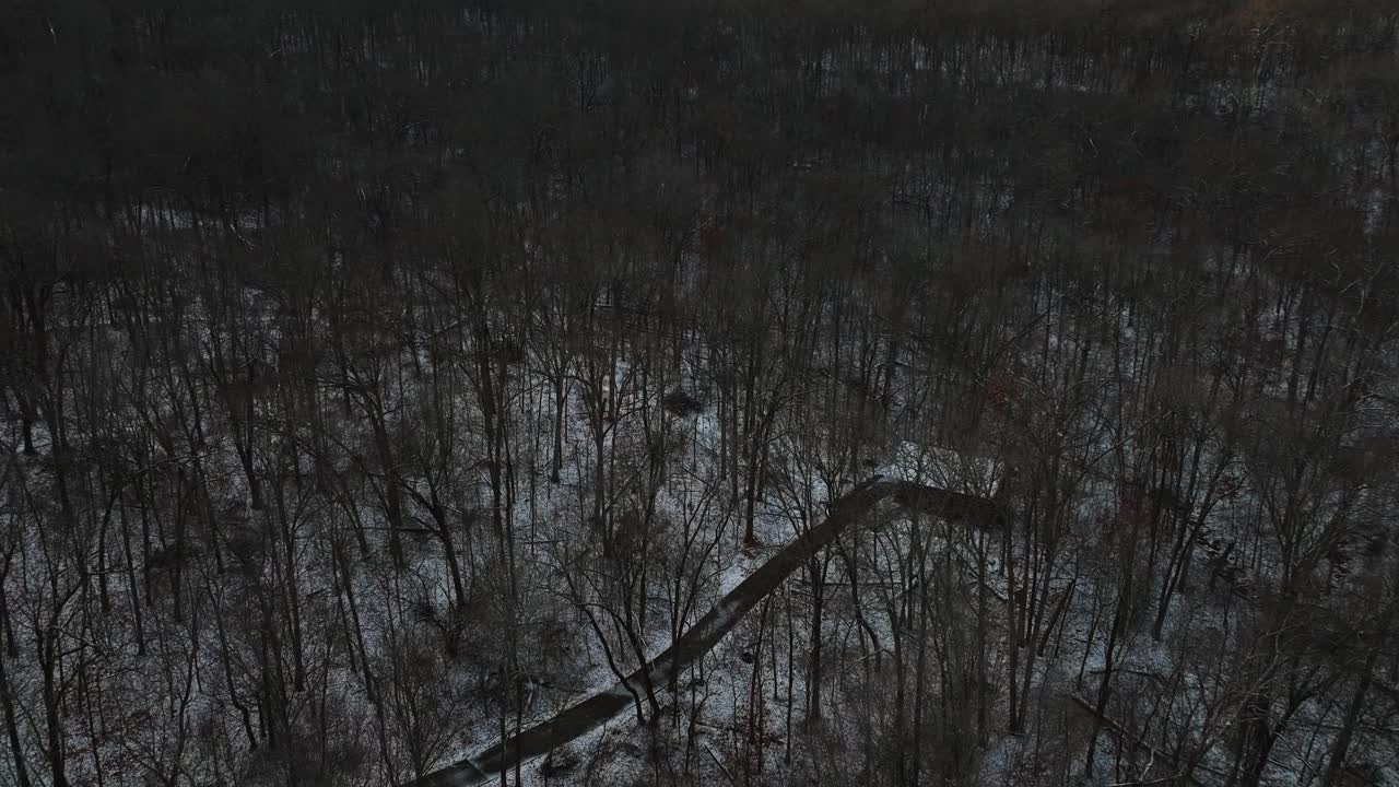 鸟瞰冬季雪覆盖的白色森林景观在山Sequoyah视频素材