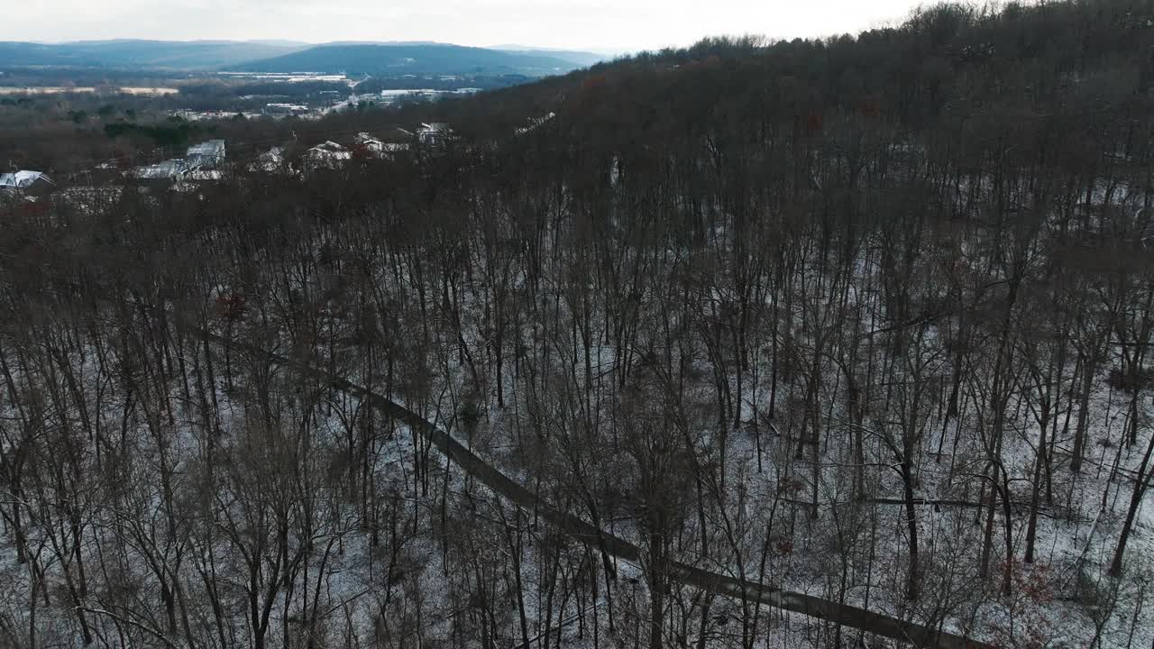 航拍无人机拍摄的雪无叶的森林在红杉山，圆盘视频素材