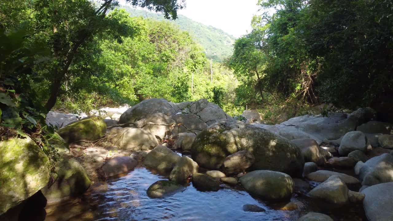 宁静的森林溪流流过岩石，郁郁葱葱的绿色，日光，宁静的自然景象视频素材