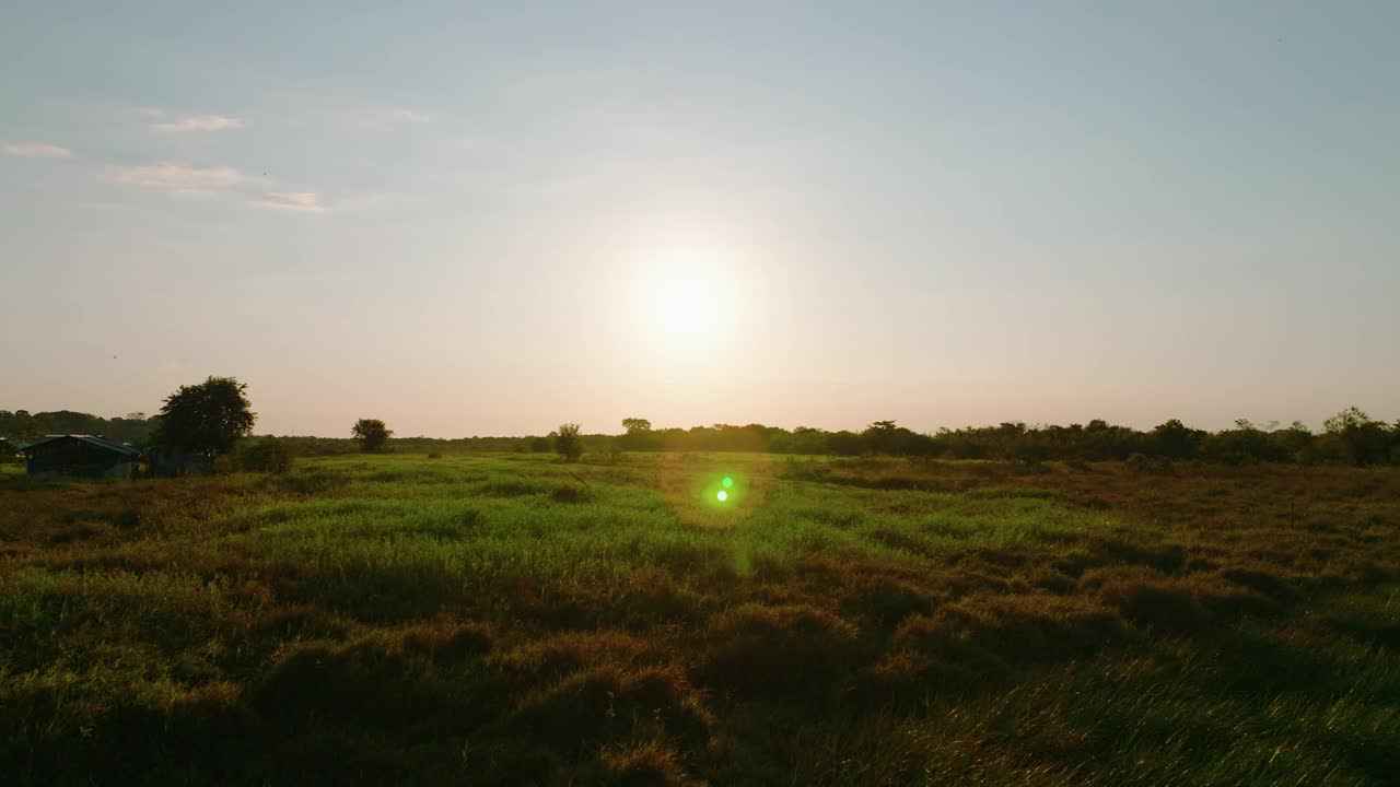 日落在宁静的阿劳卡田野，温暖的色调与绿色，广阔的户外场景，黄金时间视频素材