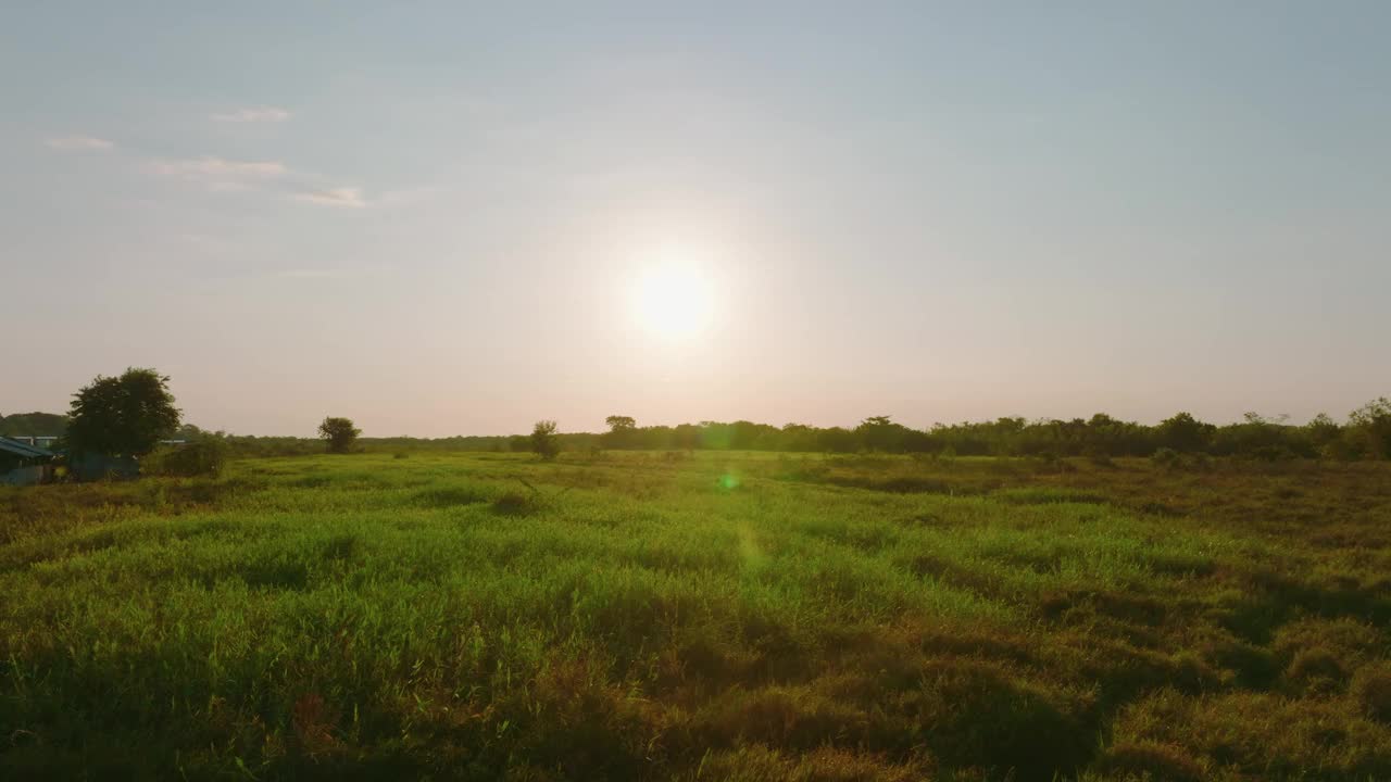 夕阳在哥伦比亚阿劳卡郁郁葱葱的绿色田野上，温暖的光线视频素材