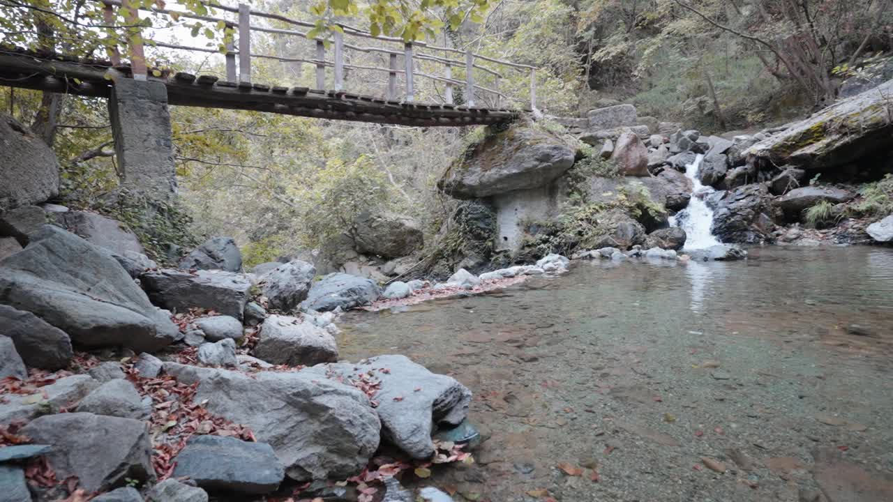 宁静的森林溪流，质朴的小桥和秋叶，在自然光下拍摄视频素材