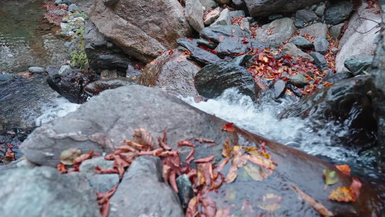 秋天的树叶落在岩石上，小溪宁静，一派宁静的自然风光视频素材