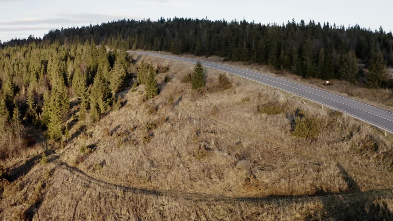 常绿森林中的高山公路的宁静鸟瞰图视频素材