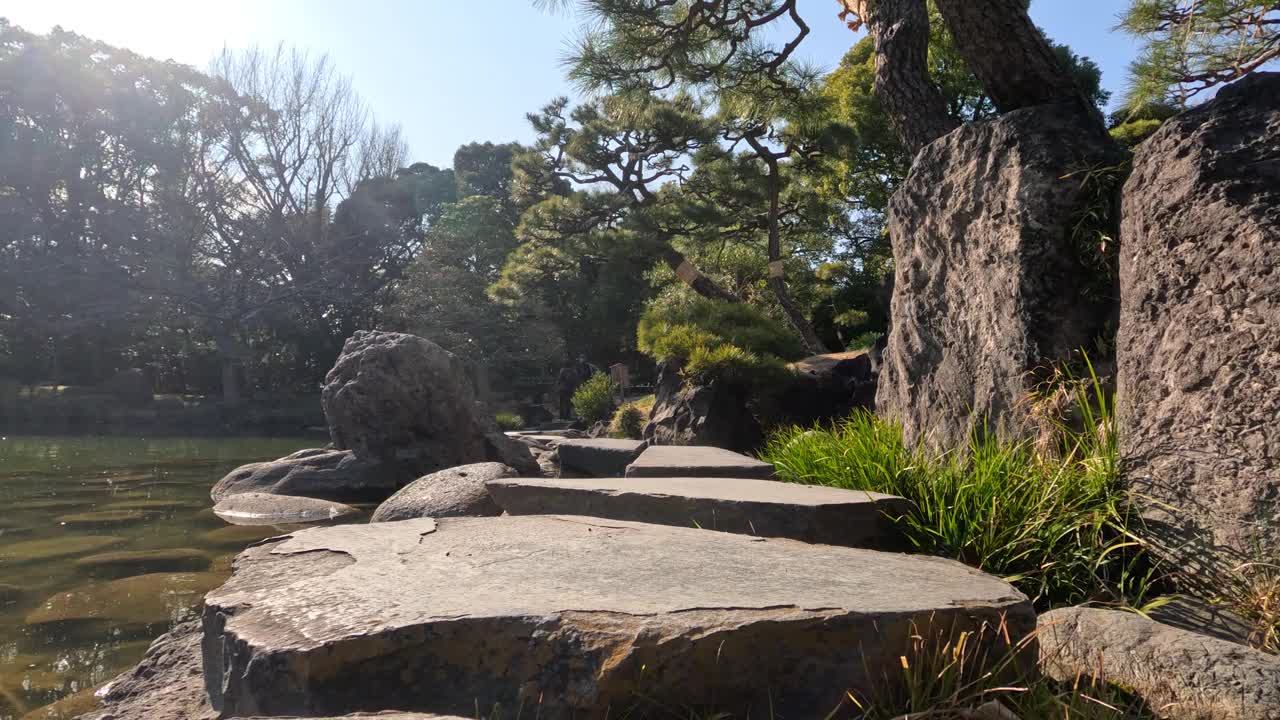 宁静的水上花园小径视频素材